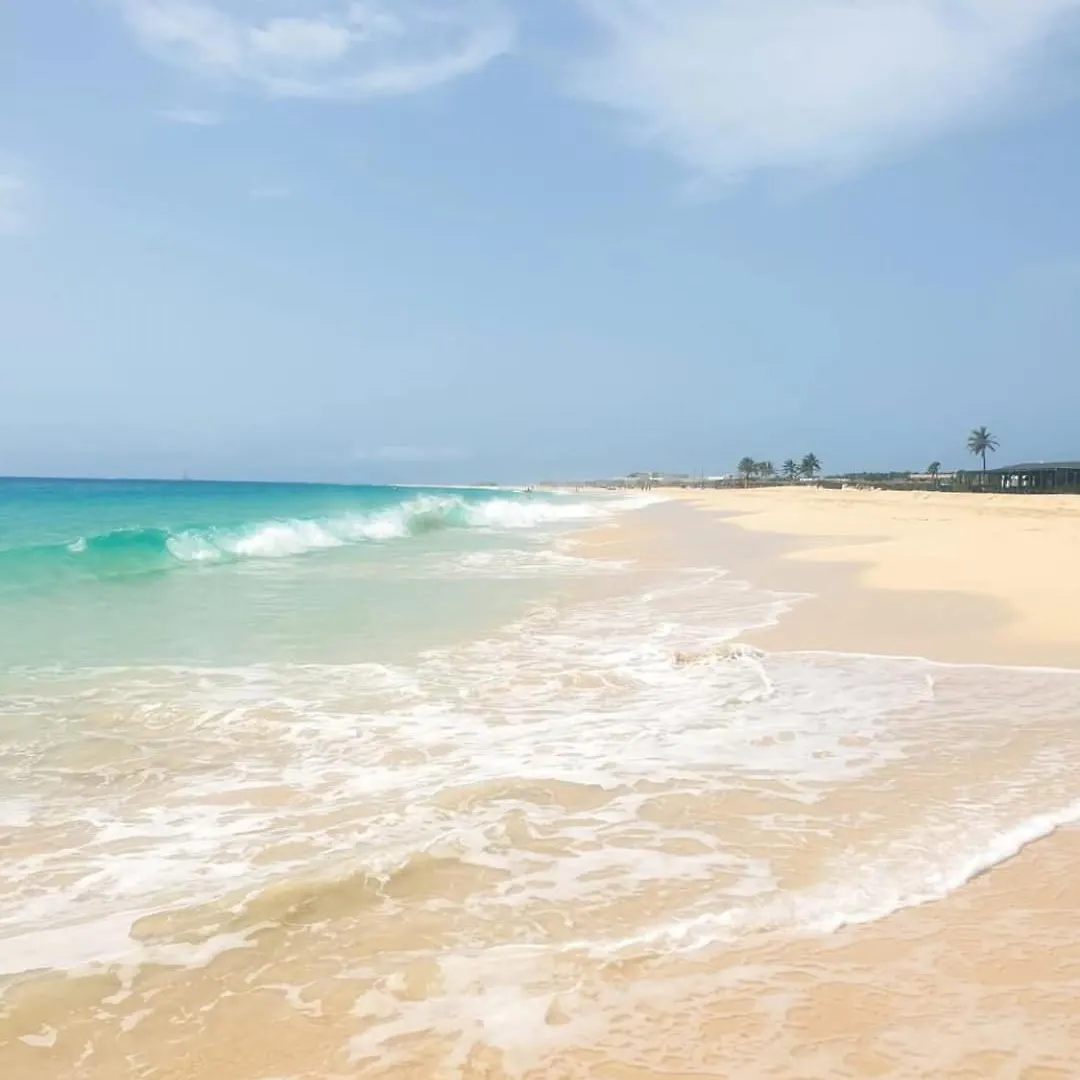 Lovely Seaview Apartment Magnolia Santa Maria Capo Verde